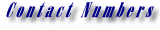 Contact Numbers